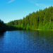 Der Hüttenteich in Altenau (Harz). Ein ruhig liegender See mit leicht gekräuselter Oberfläche, umgeben von dichtem Wald.
