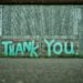 Eine Wand, auf die mit türkiser Farbe "Thank you" geschrieben wurde.